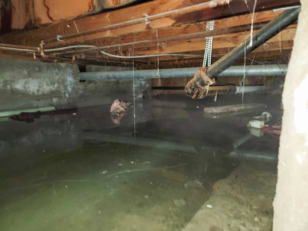 Best Flood damage cleanup  in Arvin, CA