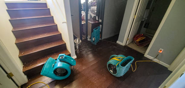 Trusted Arvin, CA Water damage restoration Experts