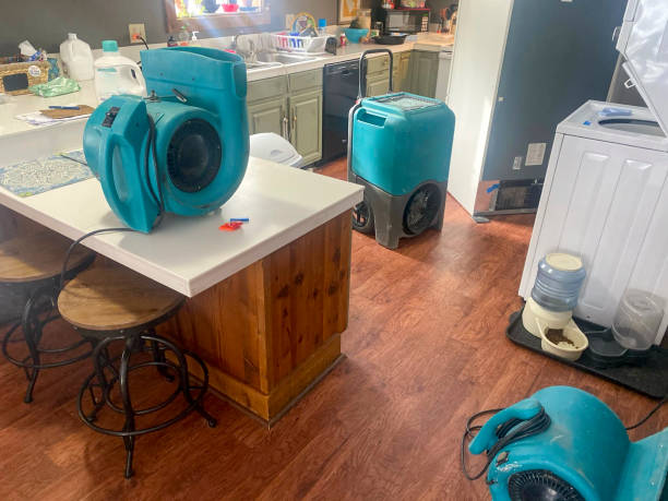 Best Water damage restoration near me  in Arvin, CA