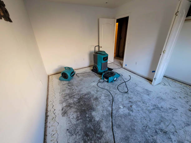  Arvin, CA Water damage restoration Pros