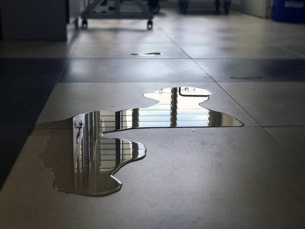 Best Local water damage restoration  in Arvin, CA