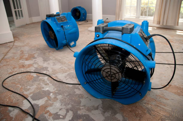 Best Water damage contractors near me  in Arvin, CA