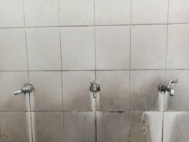 Best Flood restoration services  in Arvin, CA