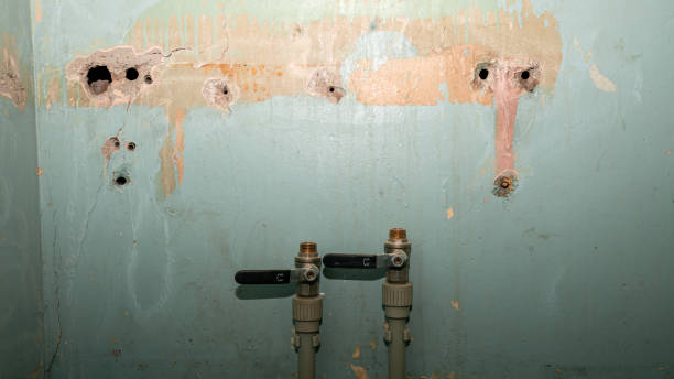 Best Carpet water damage restoration  in Arvin, CA