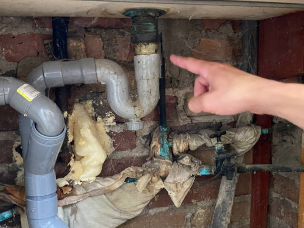 Best Mold removal after water damage  in Arvin, CA